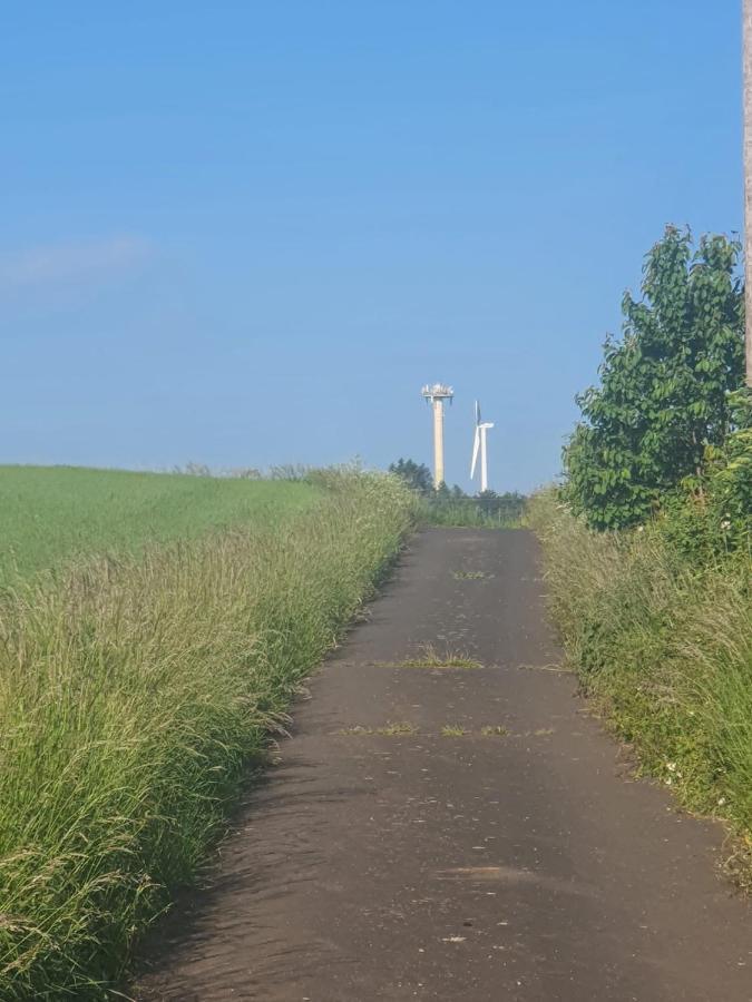 Schoene Aussicht Nettersheim Extérieur photo